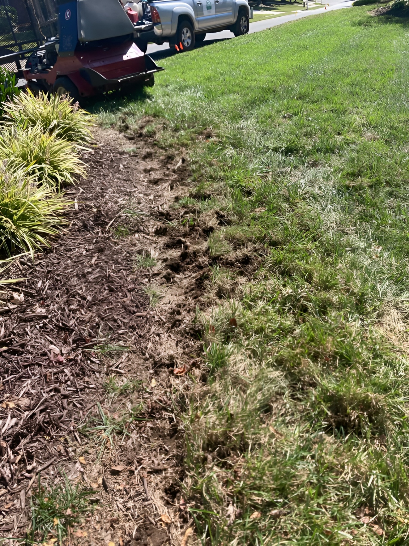 Aeration & Overseeding