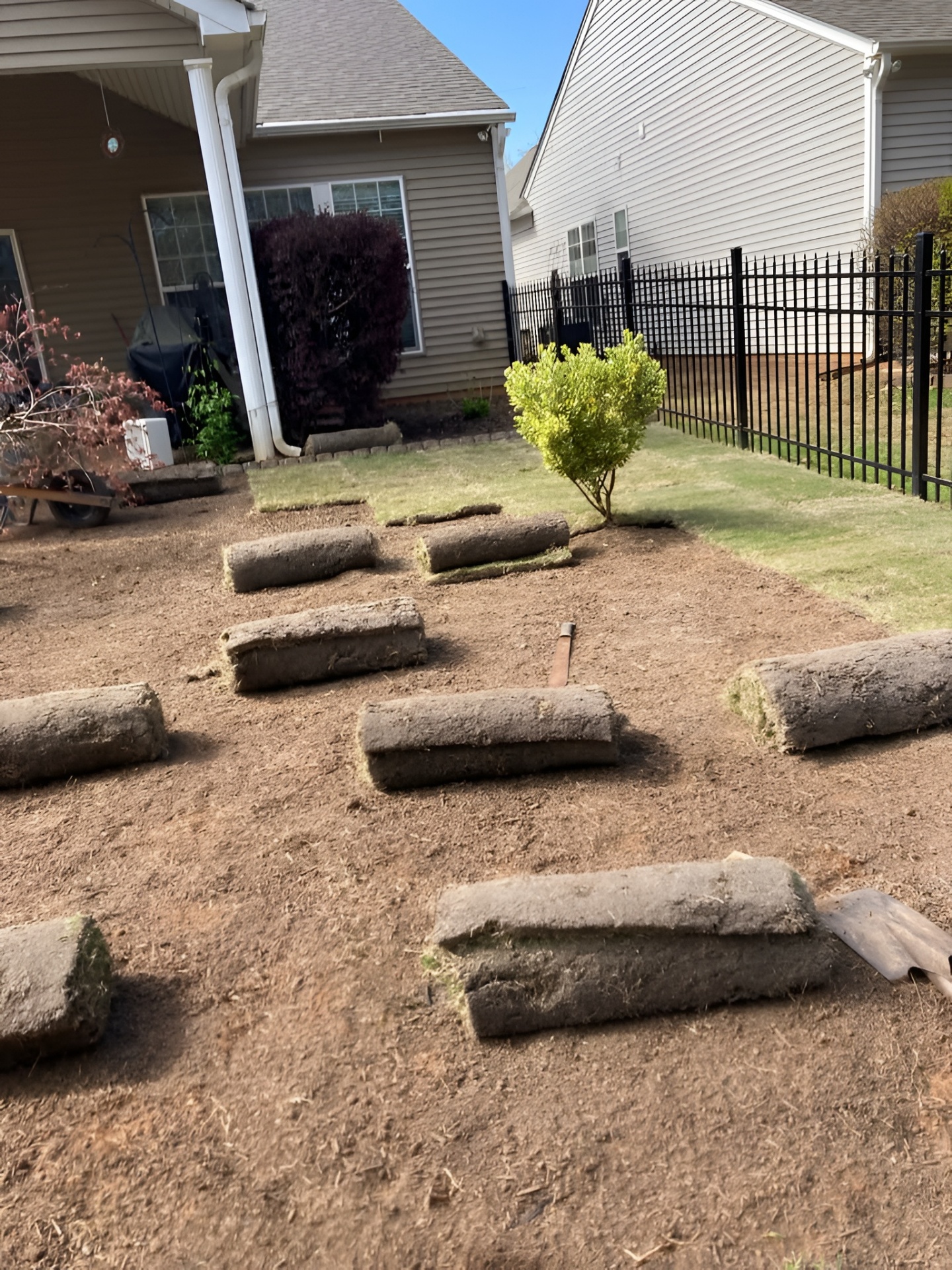 Sod Installation